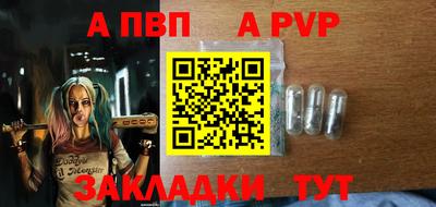 ECSTASY Гай