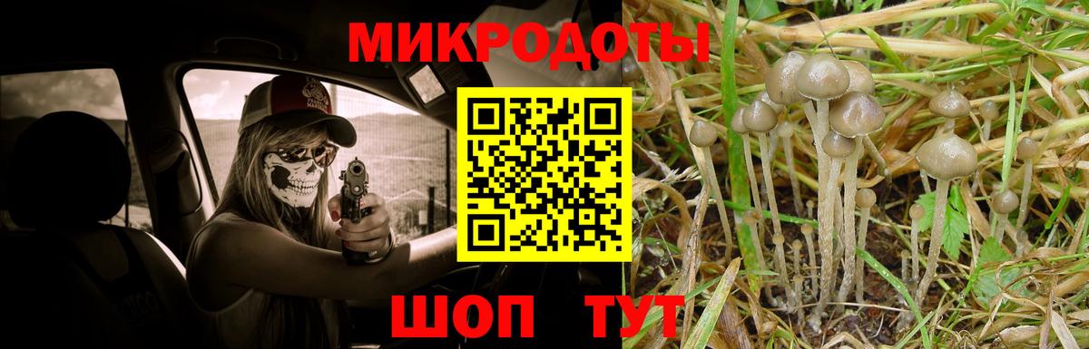 Галлюциногенные грибы мухоморы  магазин продажи наркотиков  Галлюциногенные грибы Psilocybine cubensis  Наро-Фоминск  Вход с VPN 